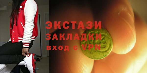 тгк Дмитриев
