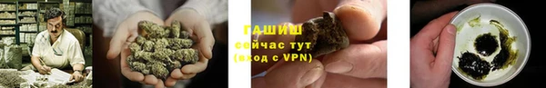тгк Дмитриев