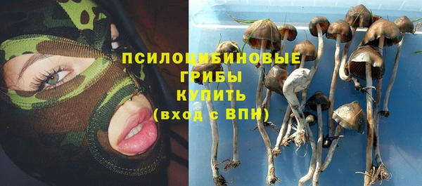 бошки Гусь-Хрустальный