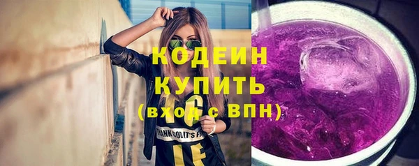 соль ск Гусев