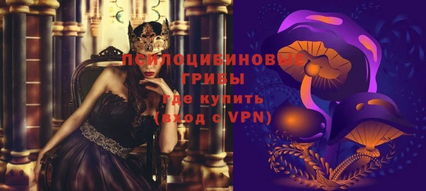 бошки Гусь-Хрустальный