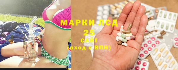 бошки Гусь-Хрустальный