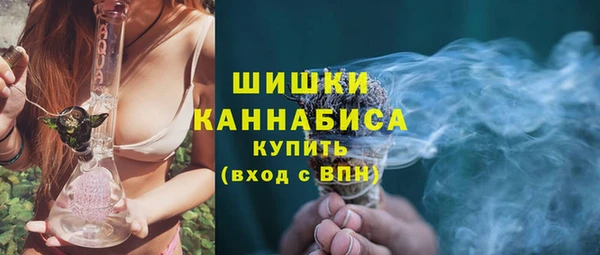 тгк Дмитровск
