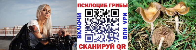 Псилоцибиновые грибы прущие грибы Оханск